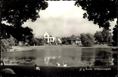 Ak Breda Nordbrabant Niederlande, Wilhelminapark, Schwäne