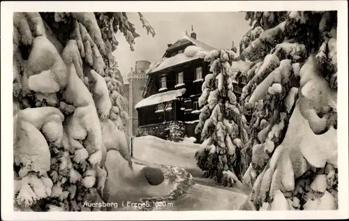 Ak Wildenthal Eibenstock im Erzgebirge, Auersberg, Aussichtsturm, Unterkunftshaus, Winter