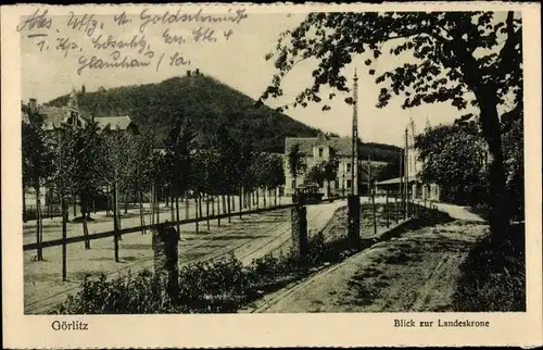 Ak Görlitz in der Lausitz, Blick zur Landeskrone, Allee