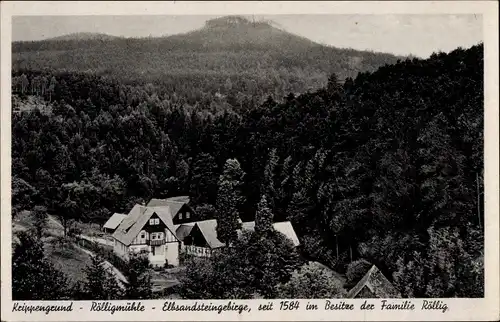 Ak Krippen Bad Schandau an der Elbe, Krippengrund, Rölligmühle, Waldlandschaft