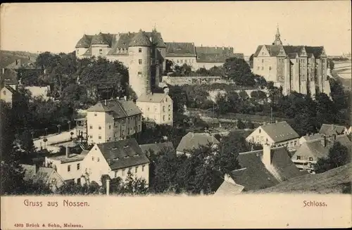 Ak Nossen in Sachsen, Schloss