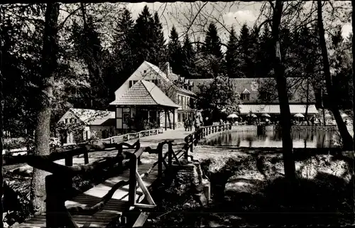 Ak Leopoldstal Horn Bad Meinberg in Lippe Teutoburger Wald, Waldrestaurant und Pension Silbermühle