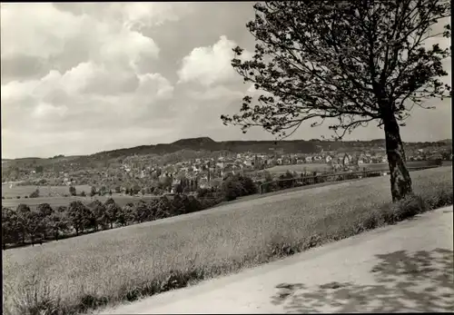Ak Oelsnitz im Erzgebirge, Ortsansicht