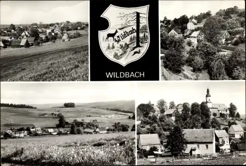 Ak Wildbach Bad Schlema im Erzgebirge, Panorama vom Ort, Wappen