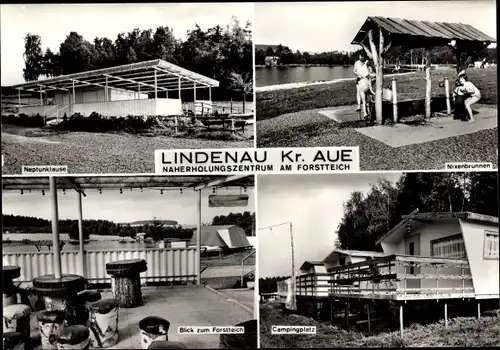 Ak Lindenau Schneeberg im Erzgebirge, Am Forstteich, Campingplatz, Nixenbrunnen, Neptunklause