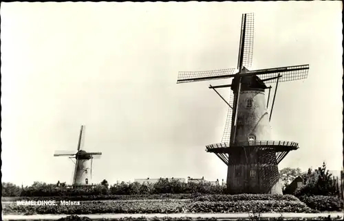 Ak Wemeldinge Zeeland Niederlande, Molens