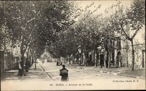 Ak Blida Algerien, Avenue de la Chiffa