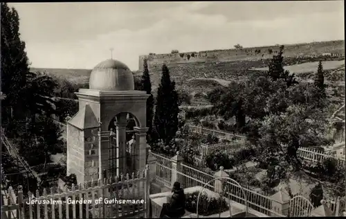 Ak Gethsemane Israel, Garden of Gethsemane