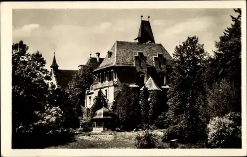 Ak Benešov Beneschau Mittelböhmen, Zamek Lisno