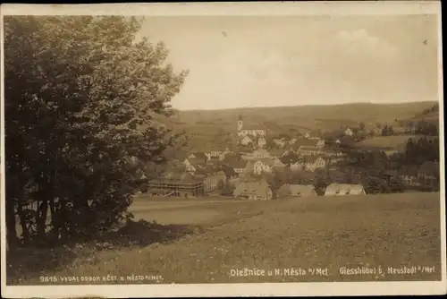 Ak Olešnice v Orlických horách Gießhübel im Adlergebirge Region Königgrätz, Totalansicht