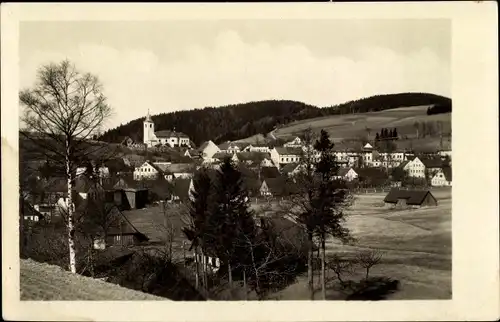 Ak Olešnice v Orlických horách Gießhübel im Adlergebirge Region Königgrätz, Gesamtansicht