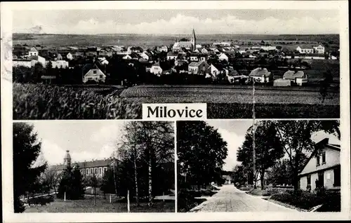 Ak Milovice nad Labem Milowitz Mittelböhmen, Gesamtansicht