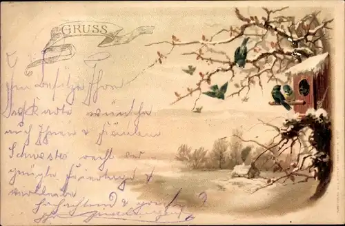 Litho Meisen auf einem schneebedeckten Baum, Nistkasten, Vögel