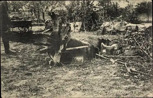 Ak Rohrkrepierer eines 21cm Mörsers, I WK