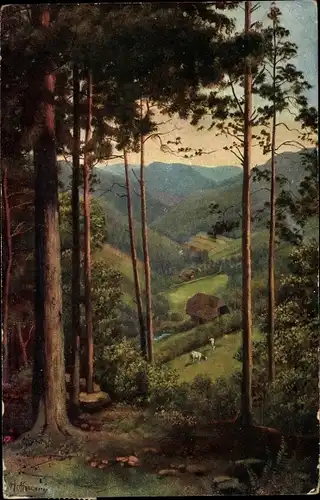 Künstler Ak Hoffmann, H., Schwarzwald, Durchblick ins Tal, Landschaftspanorama
