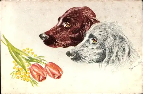 Ak Hundeportrait, Zwei Spaniel, Grau und Braun, Tulpen