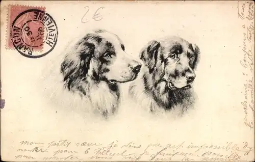 Litho Zwei Hunde, Tierportrait