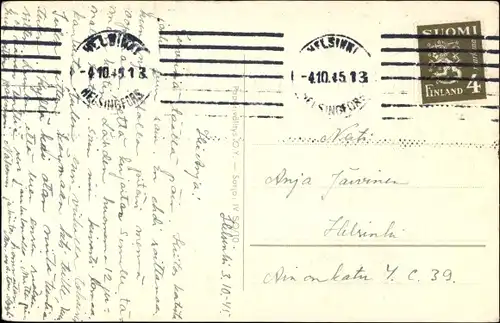 Ak Hunde am Fenster, Terrier, Blumenkasten, Blumen