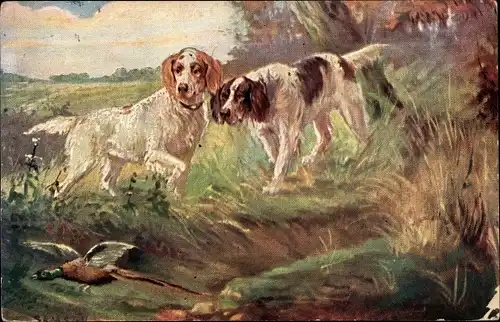 Künstler Ak Samson, Jagdhunde mit Fasan