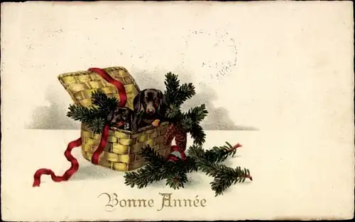 Ak Glückwunsch Neujahr, Dackel in einer Truhe, Tannenzweige