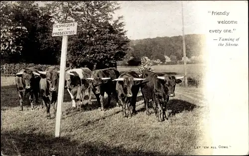 Ak Friendly welcome every one, Taming of the Shrew, Kühe