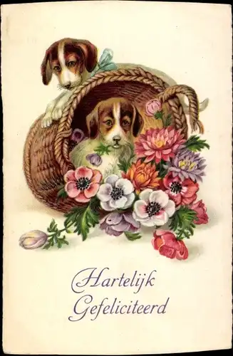 Ak Glückwunsch, Hartelijk Gefeliciteerd, Hunde, Blumenkorb