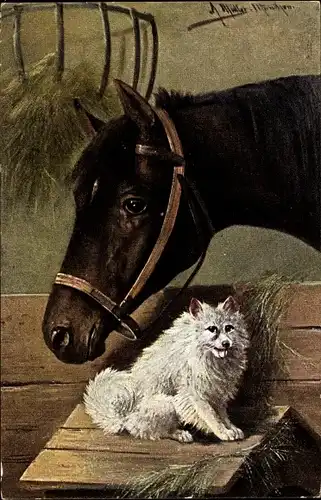 Künstler Ak Müller, A., Pferd und Spitz, Freundschaft