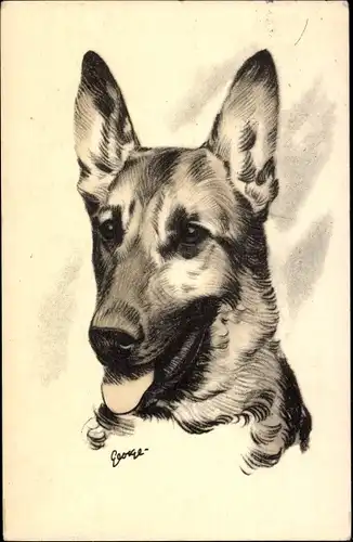 Künstler Ak Schäferhund, Tierportrait