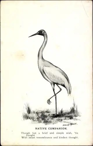 Künstler Ak Moule, D., Native Companion, Kranich