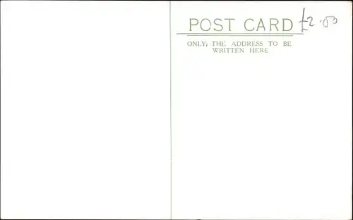 Ak Mann unter einem Baum, This is delighted thoroughly delightfull, Mr. Pickwick