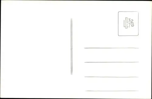 Foto Ak Esel, Tierportrait