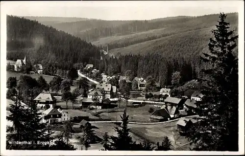 Ak Wildenthal Eibenstock im Erzgebirge, Teilansicht