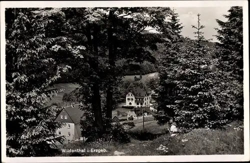 Ak Wildenthal Eibenstock im Erzgebirge, Häuser