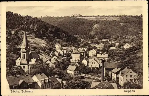 Ak Krippen Bad Schandau Sächsische Schweiz, Panorama