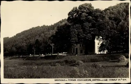 Ak Krippen Bad Schandau Sächsische Schweiz, Gasthaus und Pension Ziegelscheune