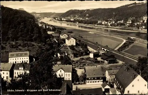Ak Krippen Bad Schandau Sächsische Schweiz, Panorama, Elbe