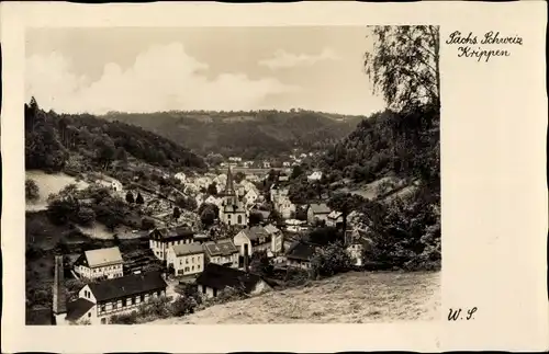 Ak Krippen Bad Schandau Sächs. Schweiz, Totalansicht mit Umgebung