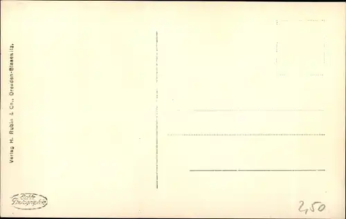 Ak Ruhla in Thüringen, Totalansicht von Emilienruhe aus