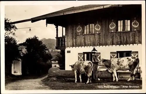 Ak Bad Wiessee in Oberbayern, Alter Brunnen, Kühe