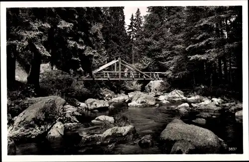 Ak Bad Steben in Oberfranken, Höllental, Teufelssteg, Brücke