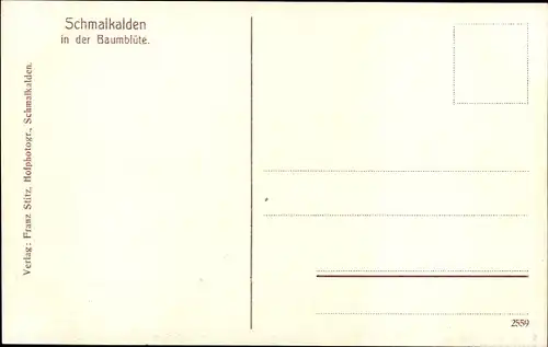 Ak Schmalkalden im Thüringer Wald, In der Baumblüte, Panorama