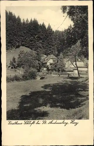 Ak Sankt Andreasberg Braunlage im Oberharz, Forsthaus Schluft