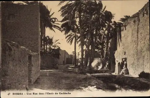 Ak Biskra Algerien, Une Rue dans l'Oasis de Gaddacha