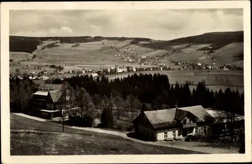 Ak Deštné v Orlických horách Deschney Region Königgratz, Hotel Panorama