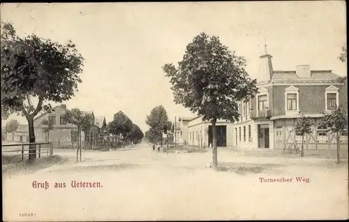 Ak Uetersen in Schleswig Holstein, Tornescher Weg