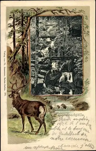 Passepartout Ak Bühlertal im Schwarzwald, Gertelbachfälle, Hirsch