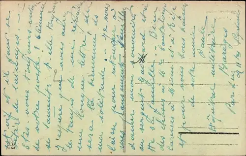 Ak Hündin und ihre Welpen, Chiens des Pyrenees