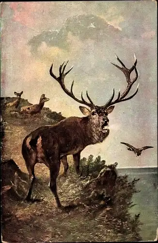 Künstler Ak Röhrender Hirsch, Geweih, Vogel im Flug