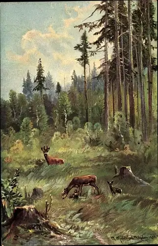 Künstler Ak Müller, M., Rehe im Wald