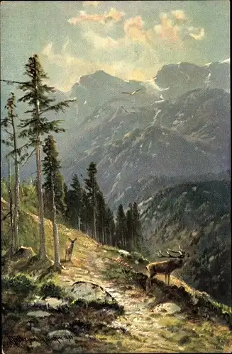 Künstler Ak Müller, M., Hirsch, Wald, Bergpanorama
